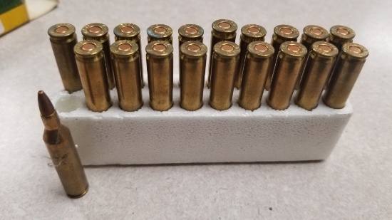 20 Rounds of .17 Remington