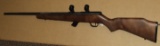 Savage Mk II 22LR rifle