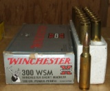 Winchester 300 WSM  180 grain