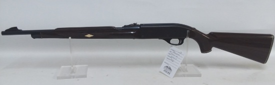 Remington Nylon 66 22 cal Rifle