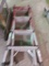 Folding Ladder