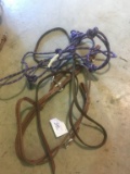 Headstall & Misc.