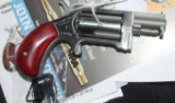 North American Arms NAA-SW 22 Mag revolver