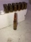 13 Rnds 308 Win Ammo