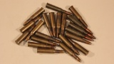 21 Rnds 7.62x54r Ammo