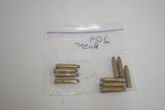 10 Rnds 204 Ruger Empty Brass