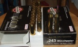 34 Rounds  Black Hills Gold 243 Win