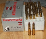 45 Rounds Winchester 22 Hornet