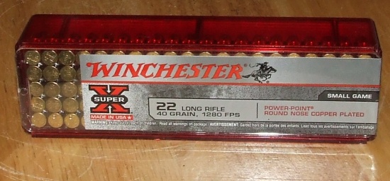 100 Winchester 22 Lr