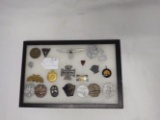 Display case of German pins