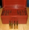 40 Rounds Remington 223