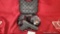 Glock 29 Gen 4 10mm Pistol
