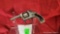 US Revolver Top Break 22LR Revolver