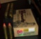 20 Rounds Bushmaster FTX 250 gr
