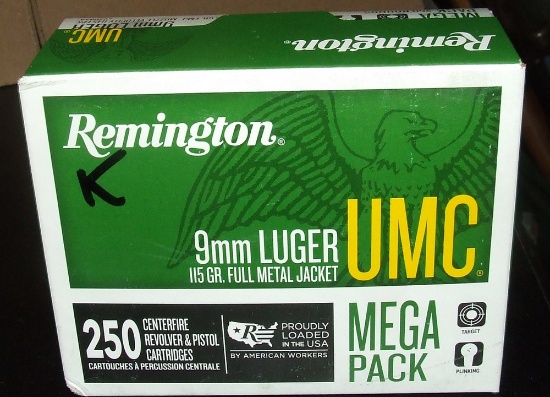 250 Rounds REM-UMC 9mm Luger