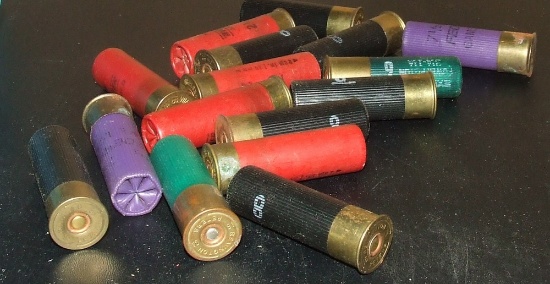 16 - 16 ga Shells