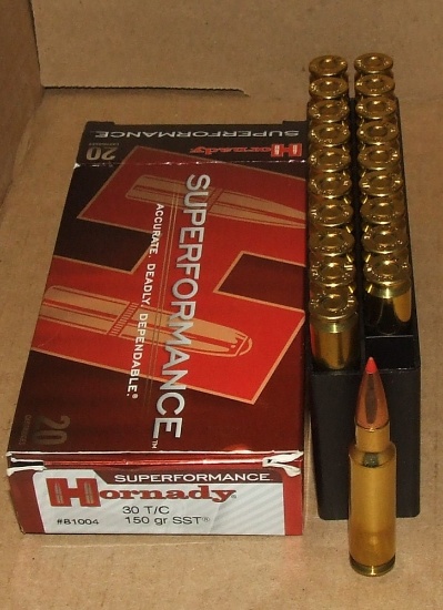 20 Rounds Hornady 30 TC