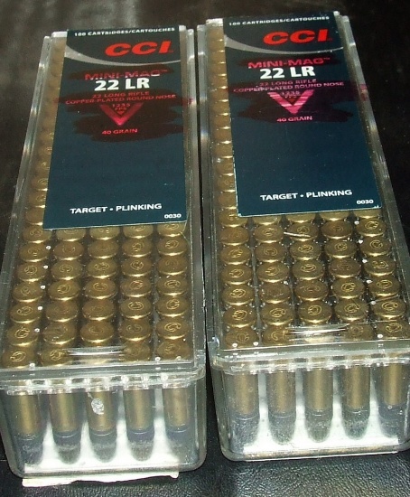 2 - 100 Rounds CCI Target