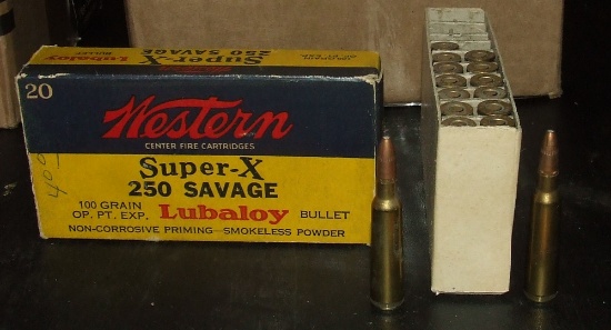 17 Rounds Western 250 Savage