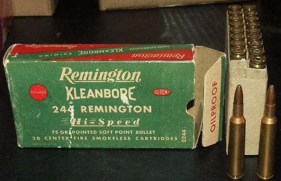 19 Rounds Remington .244 Remington