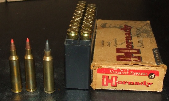 20 Rounds 22-250