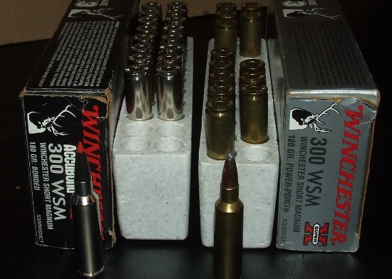 26 Rounds Win 300 WSM