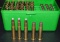 31 Rounds 30-30 Winchester & Brass