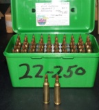 50 Rounds 22-250