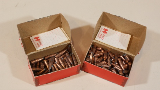 146 count 270 bullets