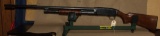 Savage 1921 12ga Shotgun