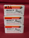 132 RDS Winchester Wildcat 22 LR High Velocity 40 gr Lead Round