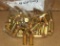 100 Rounds 40 S&W