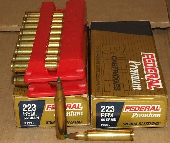 40 Rounds Federal .223