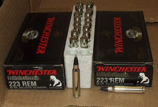 40 Rounds Federal .223