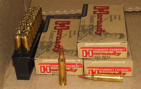 60 Rounds Hornady .223