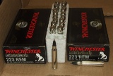 40 Rounds Federal .223