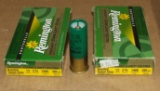 10 Rounds Remington Sabot Slugs 12 ga