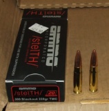40 Rounds Ammo Inc. 300 Blackout