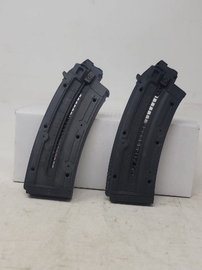 2 GSG  22 lr banana mags