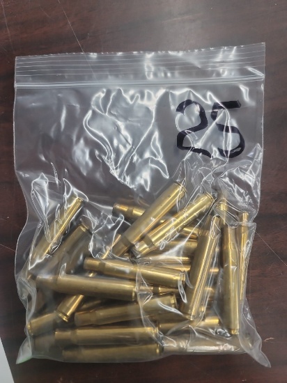 33 pcs 30-06 brass