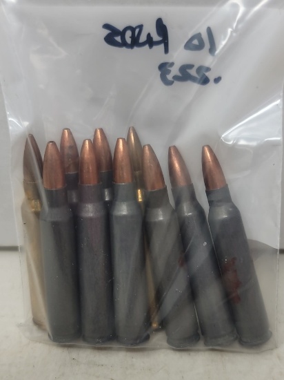 1 Bag 10 Rounds .223
