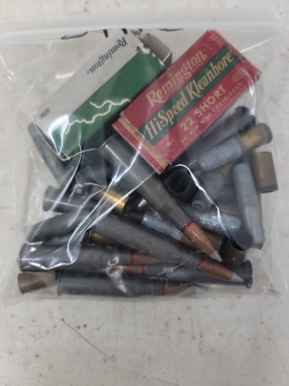 Bag lot Assorted Ammo(54 Rnds)