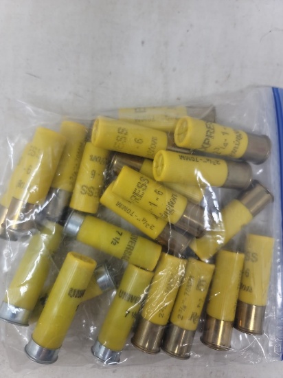 21 rnds assorted 20ga shotshells