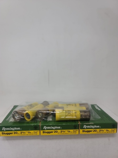 21 rnds assorted 20ga slugs (some Remington & some Winchester)