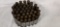 47 pcs 50BMG linked empty brass