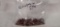 Bag of 32 spl bullets