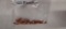 Bag of 322 Dia bullets
