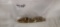 Bag of 45 caliber HP bullets