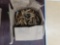 Approximately 500 pcs 312 diameter 174gr bullets