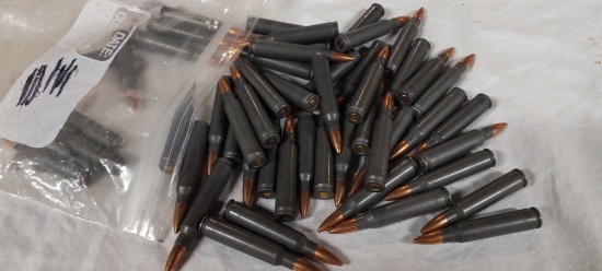 50 rnds 223 FMJ